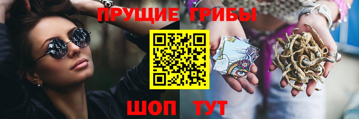 Галлюциногенные грибы прущие грибы  Вход с VPN  Галлюциногенные грибы GOLDEN TEACHER  Новочебоксарск 